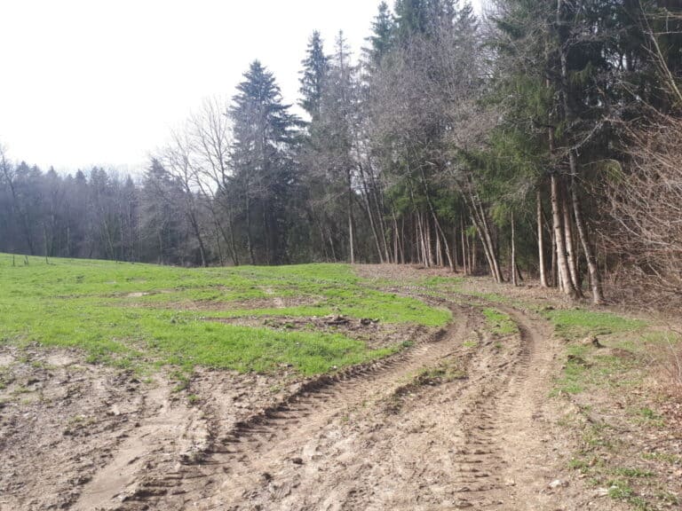 Bord de Fillière