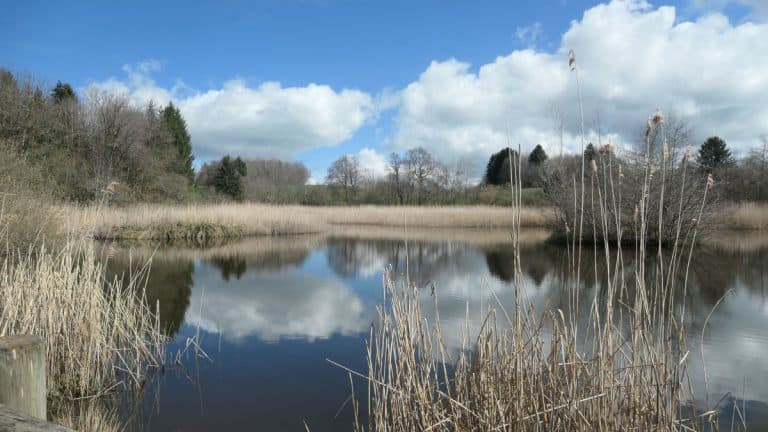 Boucle « Etang du Marquis »