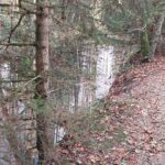 MD :  Parc des dronières (Remplace Longer le Fier)