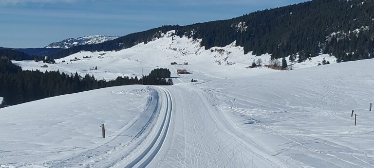 Plateau des Glières