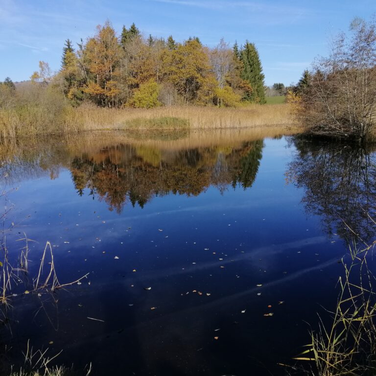 Menthonnex en Bornes