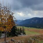 Journée anniversaire 20 ans MEF – Plateau des Glières MD
