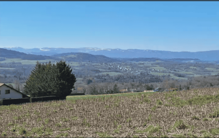 Choisy Moulin Brichet