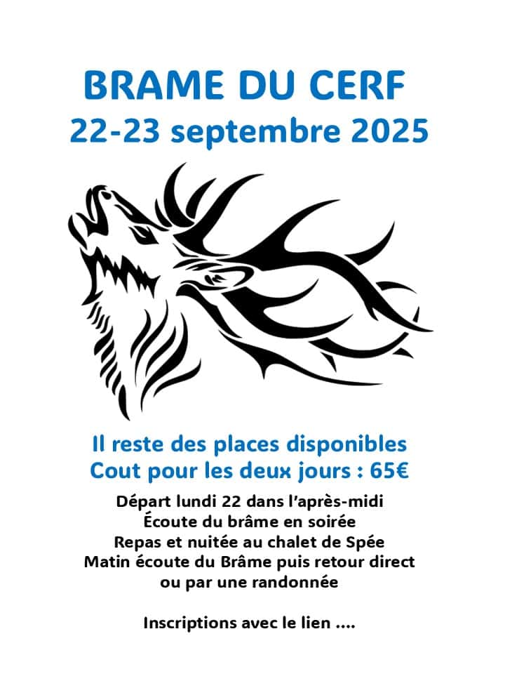 250523-Info-Brame_