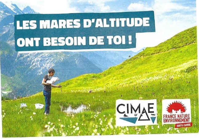 Sans-titre