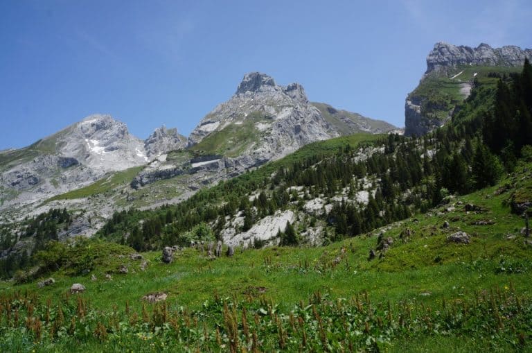 Au pied des Combes des ARAVIS