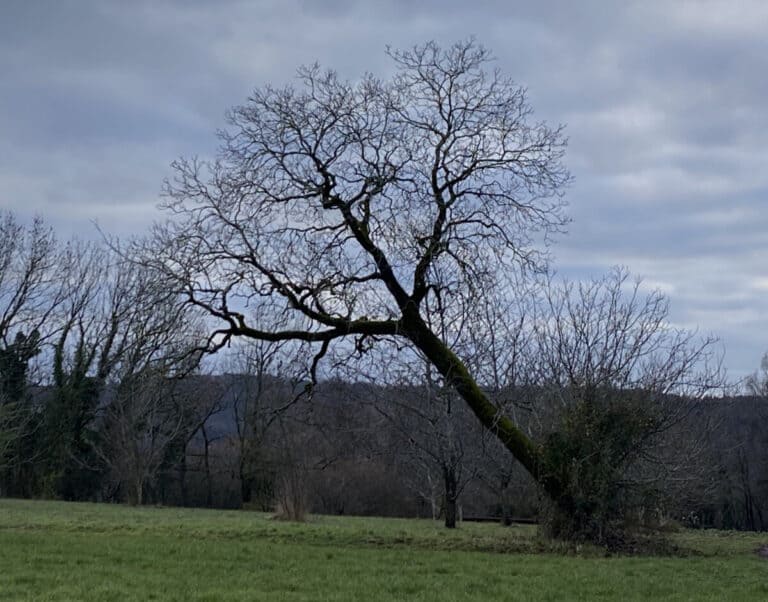 Chainaz-les-Frasses en Boucle