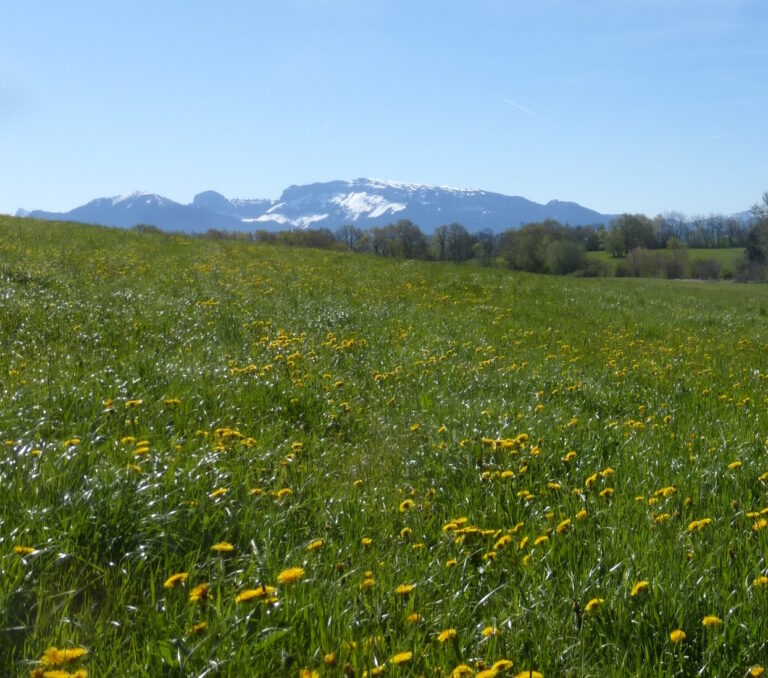 Arbusigny, la route du Sel