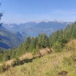 Chemin en forêt près du lac avec vue sur les montagnes, randonnée nature, marche en pleine nature, paysage alpin landscape montagne, marche en pleine nature, floraison sauvage, marche en forêt, sentier forestier, panorama nature, tour en montagne.