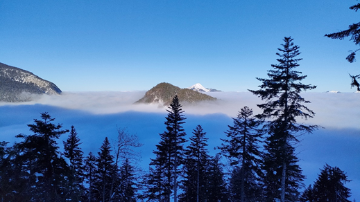 Tête de Sallaz , chalets de Vormy