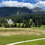 Journée anniversaire 20 ans MEF – Plateau des Glières MM