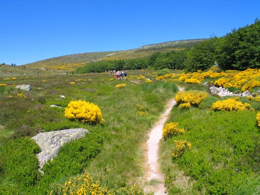 Séjour de Marche Nordique dans les Cévennes