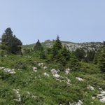 L&rsquo;Anglettaz et chalet Chappey