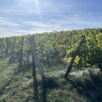 Epagny-Point de vue 360